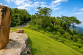 Forest Road