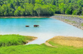 Sai Sorn Reservoir
