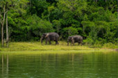 Sai Sorn Reservoir
