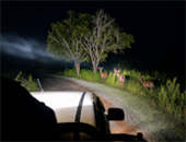 Game Drive