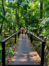 Jungle Walk in UNESCO World Heritage Site
