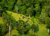 Khao Phaeng Ma