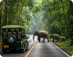 Khao Yai Heritage Discovery 3 Days 2 Night