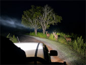 Game Drive