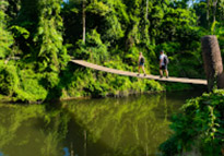 Jungle Short Trail