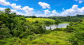 Nong Phak Chi Wildlife Observation Tower