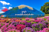 Flowers Farm