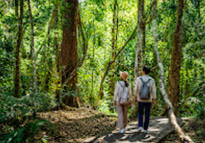 Jungle Short Trail