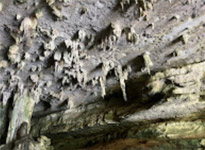 Nature Experience One day trip from Phuket
