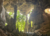 Nature Experience One day trip from Phuket