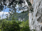 Nature Experience One day trip from Phuket