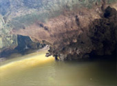 Nature Experience One day trip from Phuket