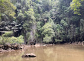 Nature Experience One day trip from Phuket