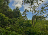 Nature Experience One day trip from Phuket