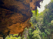 Nature Experience One day trip from Phuket