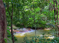 Nature Experience One day trip from Phuket