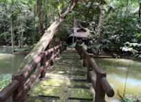 Nature Experience One day trip from Phuket