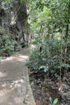 Nature Experience One day trip from Phuket