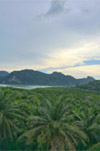 Nature Experience One day trip from Phuket