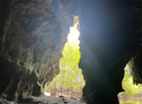 Nature Experience One day trip from Phuket