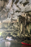 Nature Experience One day trip from Phuket