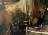 Nature Experience One day trip from Phuket