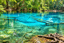Emerald Pool Emerald Pool