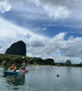 Klong Root Safari: A Journey into Nature Hidden Depths