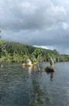 Klong Root Safari: A Journey into Nature Hidden Depths