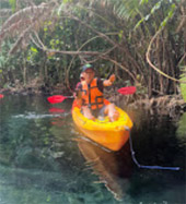 Klong Root Safari: A Journey into Nature Hidden Depths