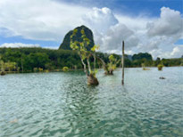 Nature Discovery 1 Day Mysterious River and Historical Cave