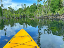 Nature Discovery 1 Day Mysterious River and Historical Cave