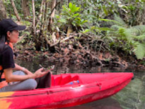 Nature Discovery 1 Day Mysterious River and Historical Cave
