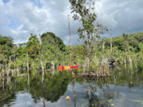 Nature Discovery 1 Day Mysterious River and Historical Cave