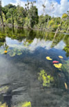 Nature Discovery 1 Day Mysterious River and Historical Cave