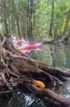 Nature Discovery 1 Day Mysterious River and Historical Cave