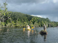 Nature Discovery 1 Day Mysterious River and Historical Cave