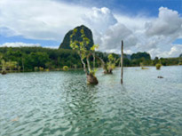 Nature Discovery 1 Day Mysterious River and Historical Cave