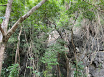 Nature Discovery 1 Day Mysterious River and Historical Cave