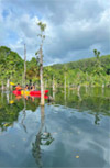 Nature Discovery 1 Day Mysterious River and Historical Cave