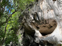Nature Discovery 1 Day Mysterious River and Historical Cave
