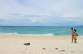 PP Island + Bamboo Island