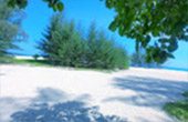 PP Island + Bamboo Island