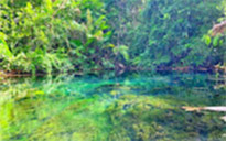 Clear Canal Kayaking