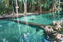 Clear Canal Kayaking