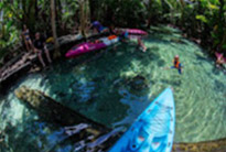 Clear Canal Kayaking