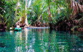 Clear Canal Kayaking