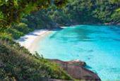 Similan Island Day Tour