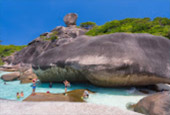 Similan Island Day Tour