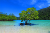 Surin Island -Simply stunning nature